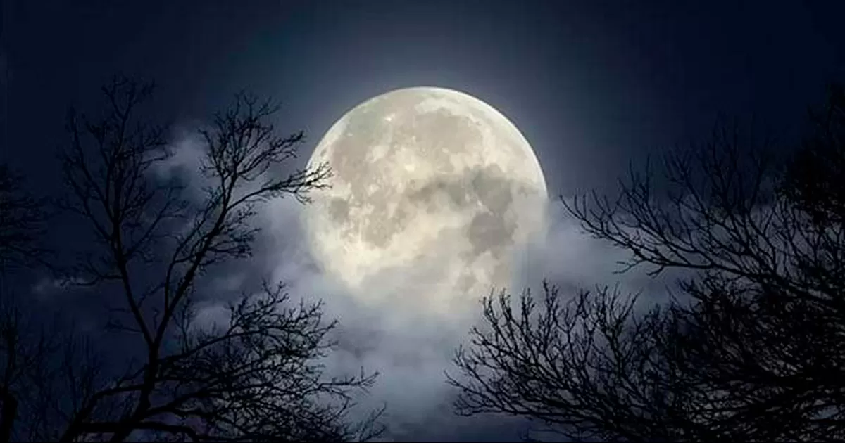 La Luna del Cazador nos recuerda nuestra conexiÃ³n con la naturaleza y nuestras raÃ­ces.