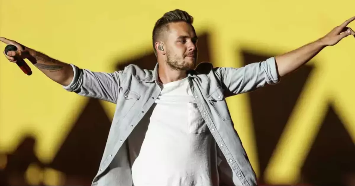 AsistiÃ³ a uno de los conciertos de su excompaÃ±ero de One Direction y amigo Niall Horan