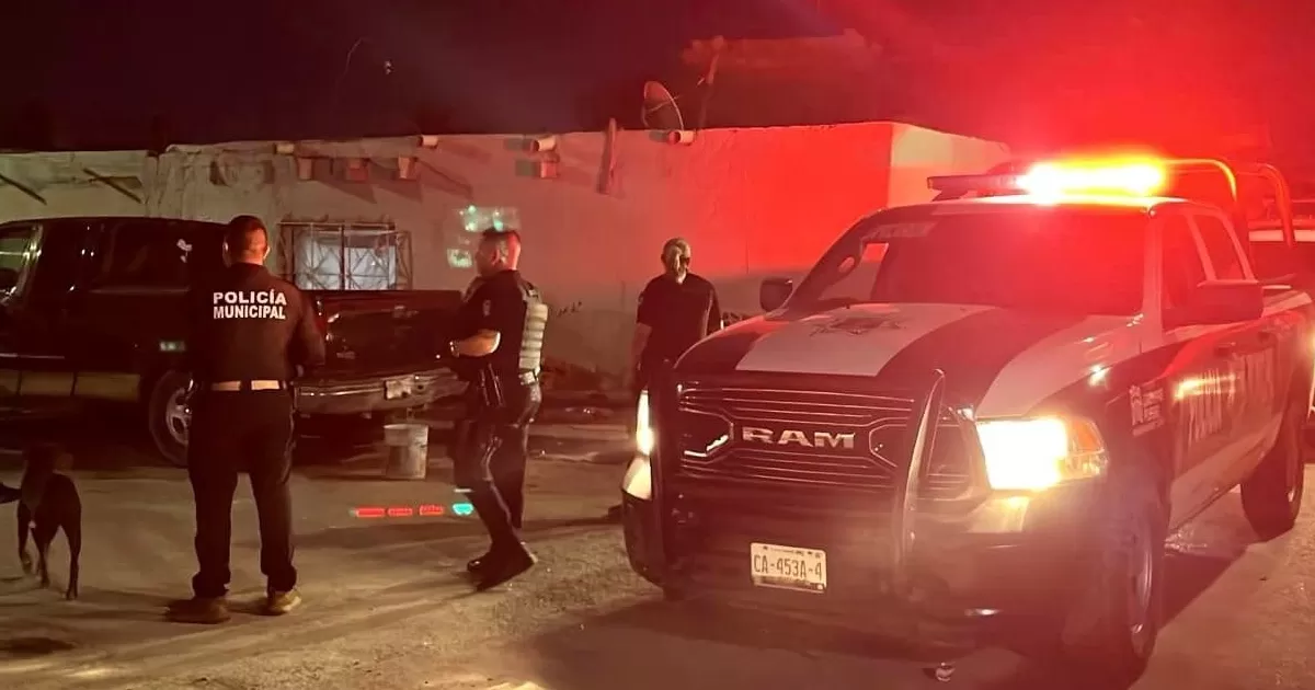 Sin reportes de pandillas en el municipio de Torreón