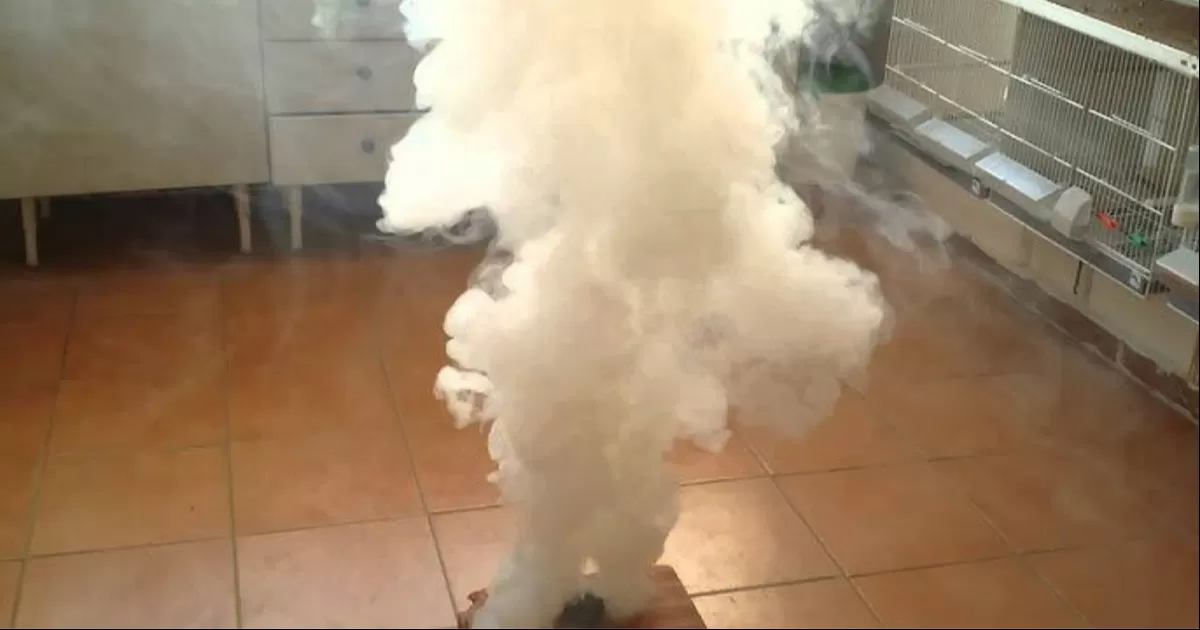 Llaman a tomar precauciones con fumigaciones domésticas en la Laguna