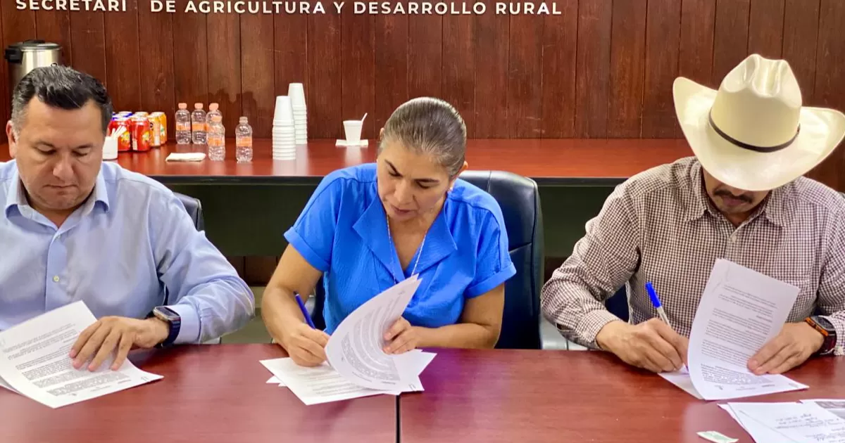 El Gobierno de Durango y la Secretaría de Agricultura, Ganadería y Desarrollo Rural (SAGDR); impulsan la conformación de este Consejo con la firma de un convenio entre el Gobierno de Coahuila, el Gobierno de México y los representantes de la academia en la Laguna.