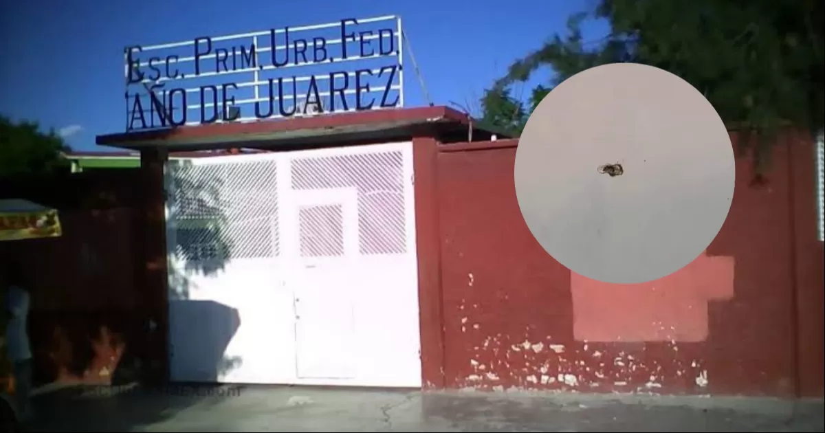 Menor dispara al interior de escuela en Torreón