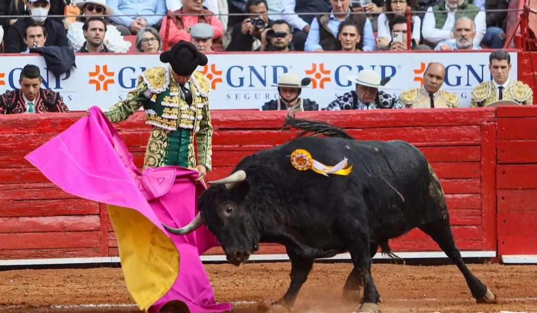El director de la Plaza de Toros MÃ©xico asegurÃ³ que aÃºn no se confirma si las corridas del 4 y 5 de febrero se podrÃ¡n realizar.