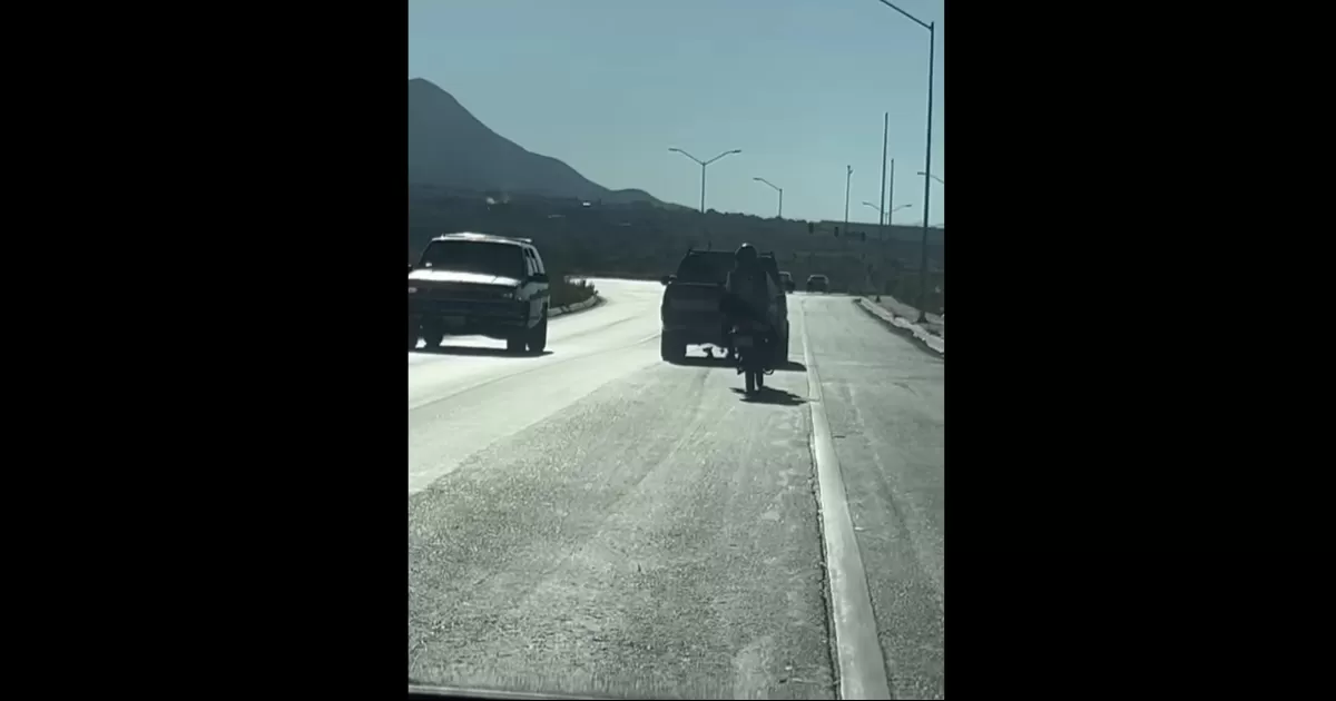 Indigna caso de crueldad animal en Saltillo, asesinan a perrito