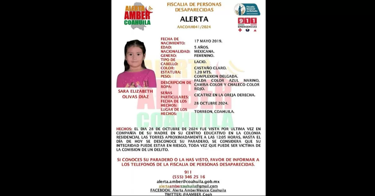 Según la ficha de búsqueda, el pasado 28 de octubre fue vista por última vez en compañía de su madre en su centro educativo, ubicado en la Colonia Residencial Las Torres.