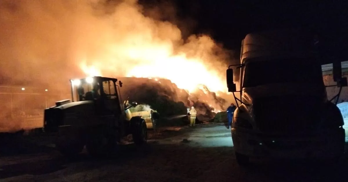 En pocos minutos, los bomberos de Madero se vieron rebasados por la emergencia, por lo que solicitaron el apoyo de sus similares de San Pedro de las Colonias, Matamoros y Torreón, quienes en coordinación pudieron controlar la situación y evitar la propagación de las llamas a otras áreas.