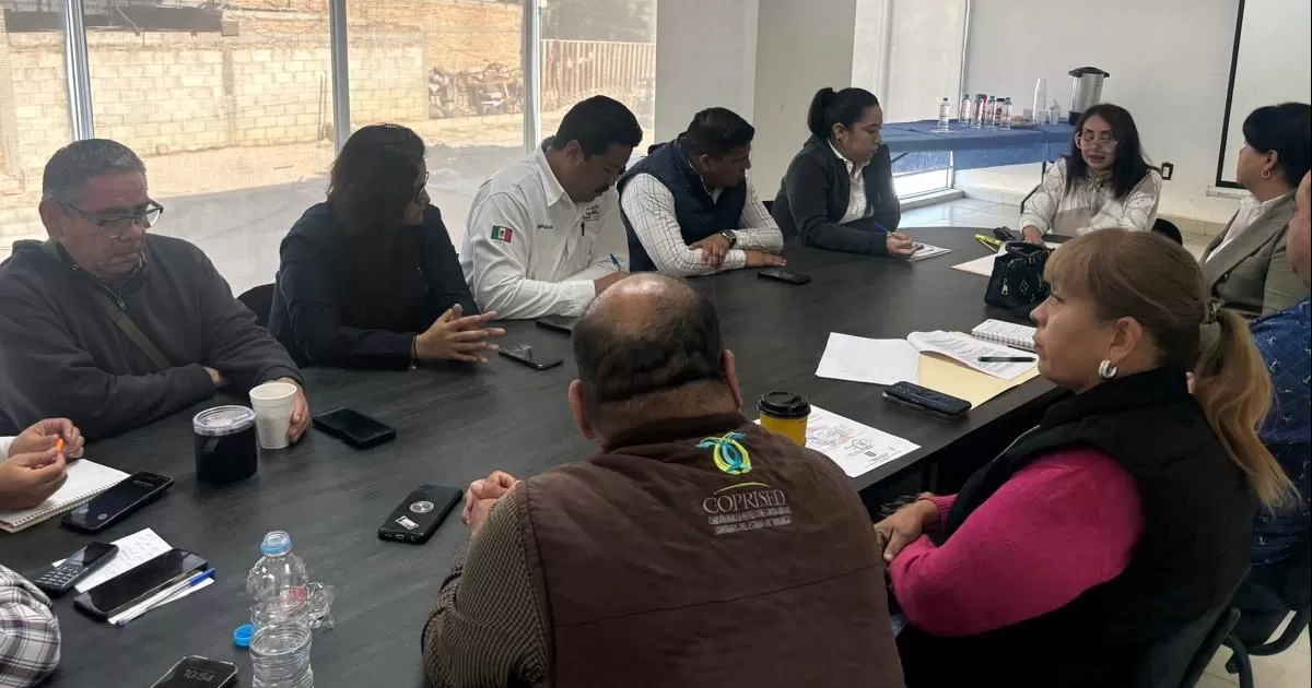 Esta iniciativa busca establecer medidas más rigurosas para controlar y prevenir incidentes de agresiones de perros a personas.