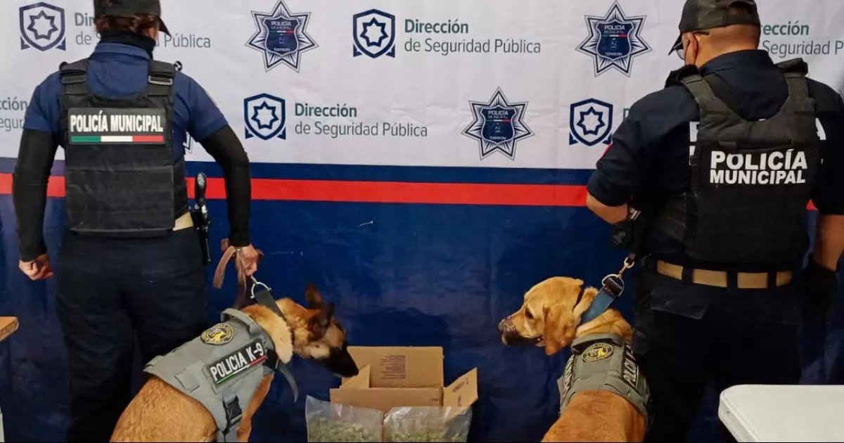 En total el peso fue de 2 kilogramos con valor total de 76 mil pesos en el mercado de estupefacientes.