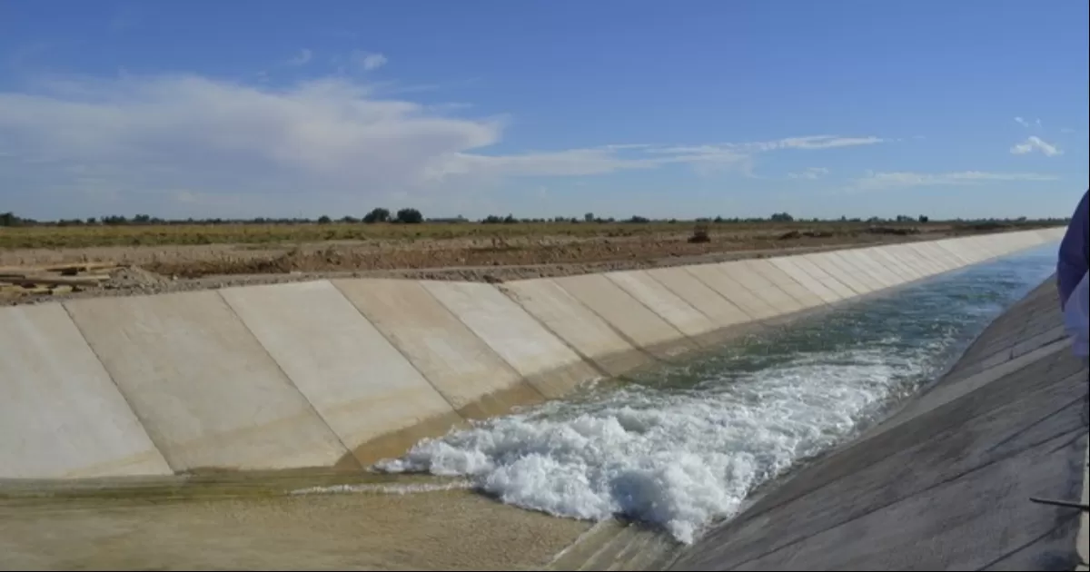 Mientras se concreta la licitación para tecnificación, el distrito de riego 017 está a la espera del programa Sembrando Vida del cual han solicitado siembra de mezquite, árboles propios de la región y de cultivos básicos como el frijol y maíz.