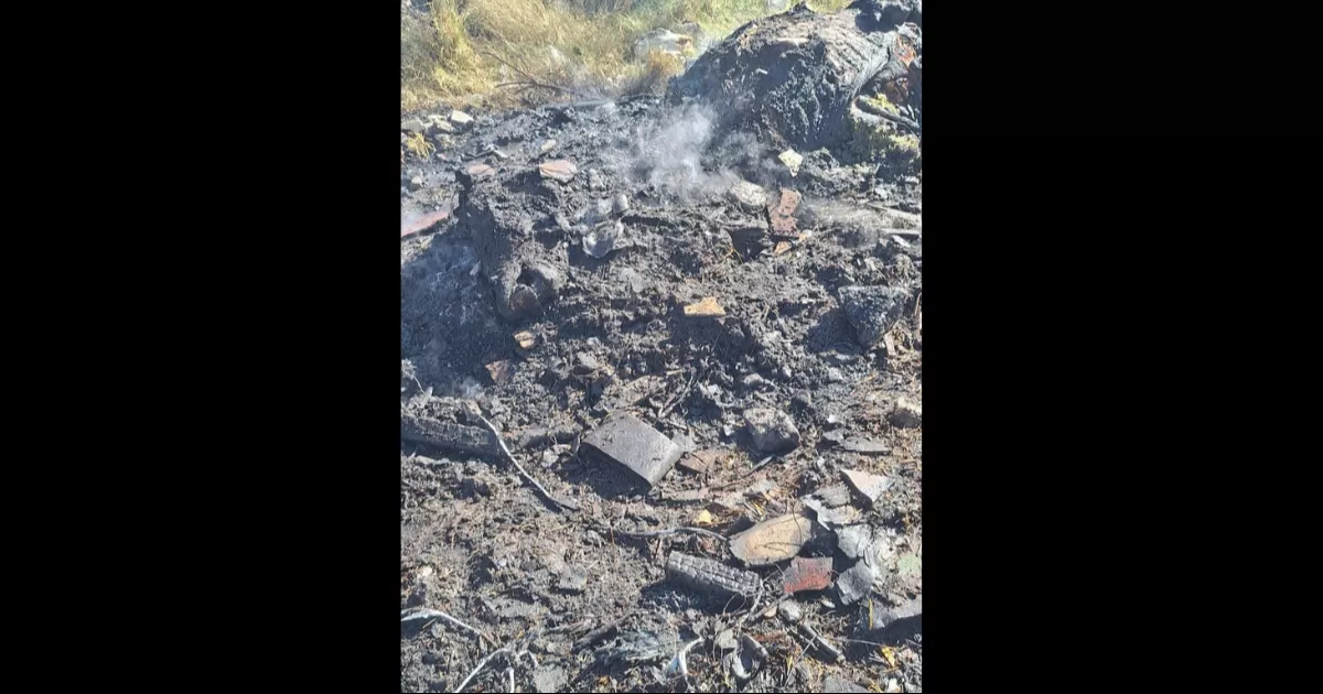 Muere caballo calcinado en Torreón; lo tenían amarrado y no pudo escapar