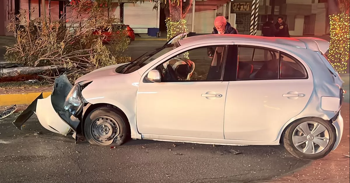 Choca por alcance y proyecta auto contra árbol en Torreón
