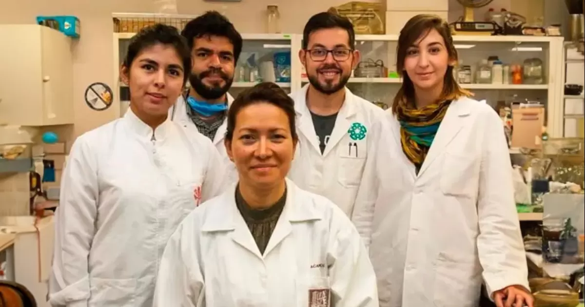 CientÃ­ficos del IPN desarrollaron un tratamiento no invasivo que elimina el 100% del VPH en el cÃ©rvix de mujeres tratadas
