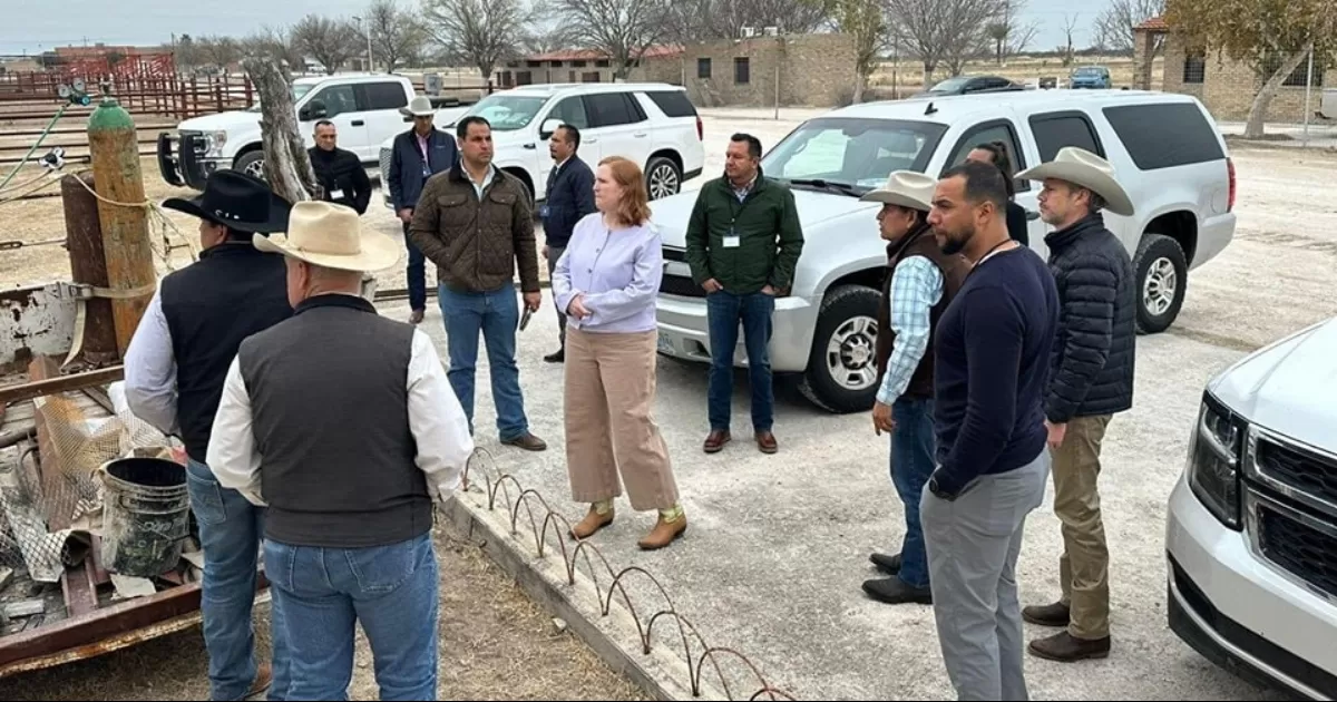 Sigue para adelante el Ganado Tipo Coahuila y apoyo a ganaderos coahuilenses