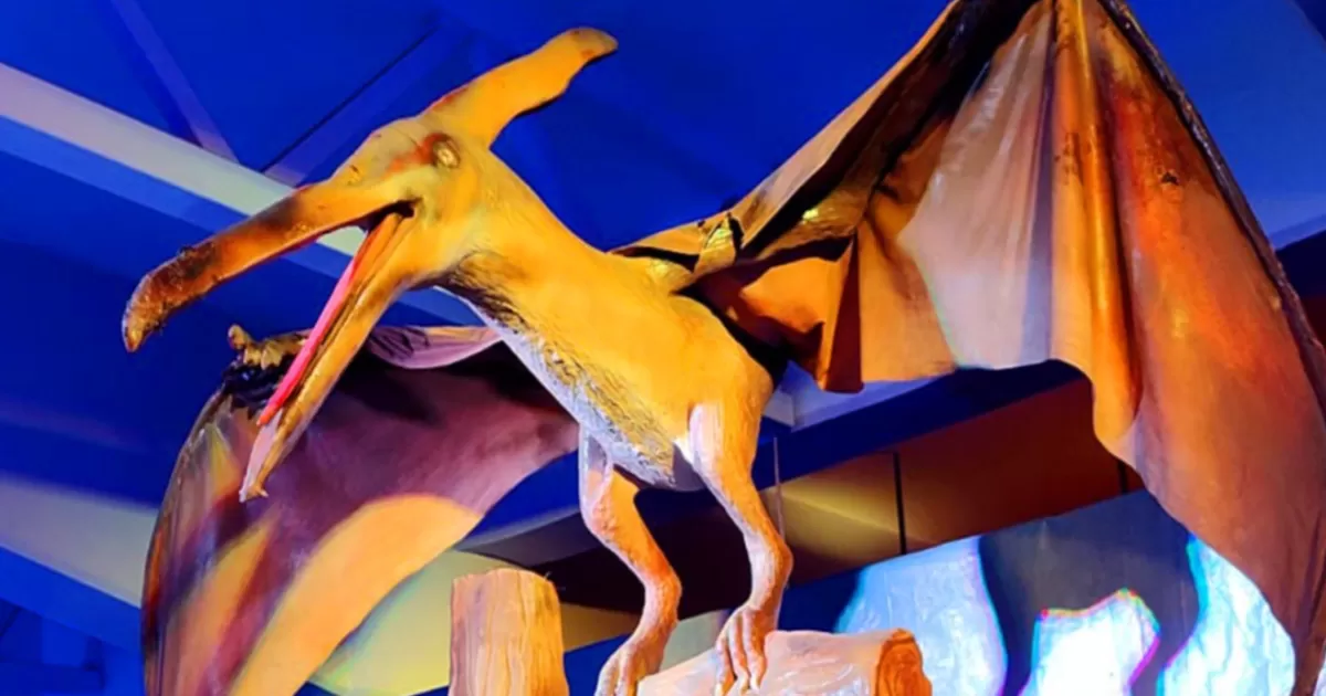 ¡Rugidos prehistóricos en Torreón! Presentan exhibición de dinosaurios animatrónicos
