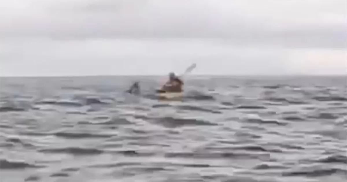 El suceso apenas dura unas segundos y fue grabado por el padre que navegaba en otro kayak junto a Ã©l
