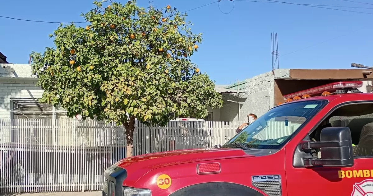 El titular del área, Jorge Luis Juárez explicó que para esos casos se cuenta con una unidad especializada, tanto para la seguridad de los elementos como para garantizar el debido cuidado a estas especies.
