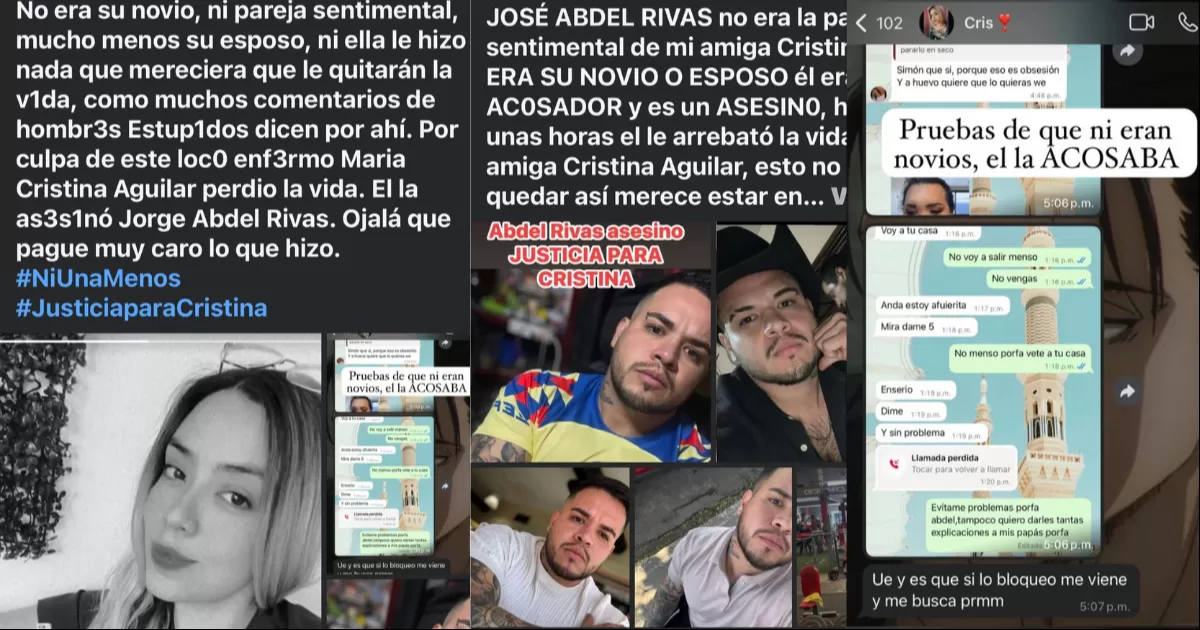 En diversas conversaciones subidas a las redes sociales, se puede apreciar como ella contaba que se presentaba en su domicilio insistentemente a pesar de no ser correspondido en el interés romántico.