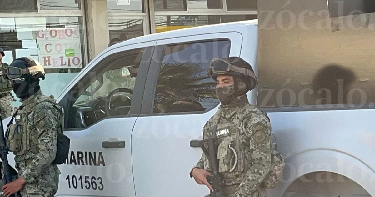 Realizan decomiso de droga tras cateo en paquetería de Plaza Fundadores