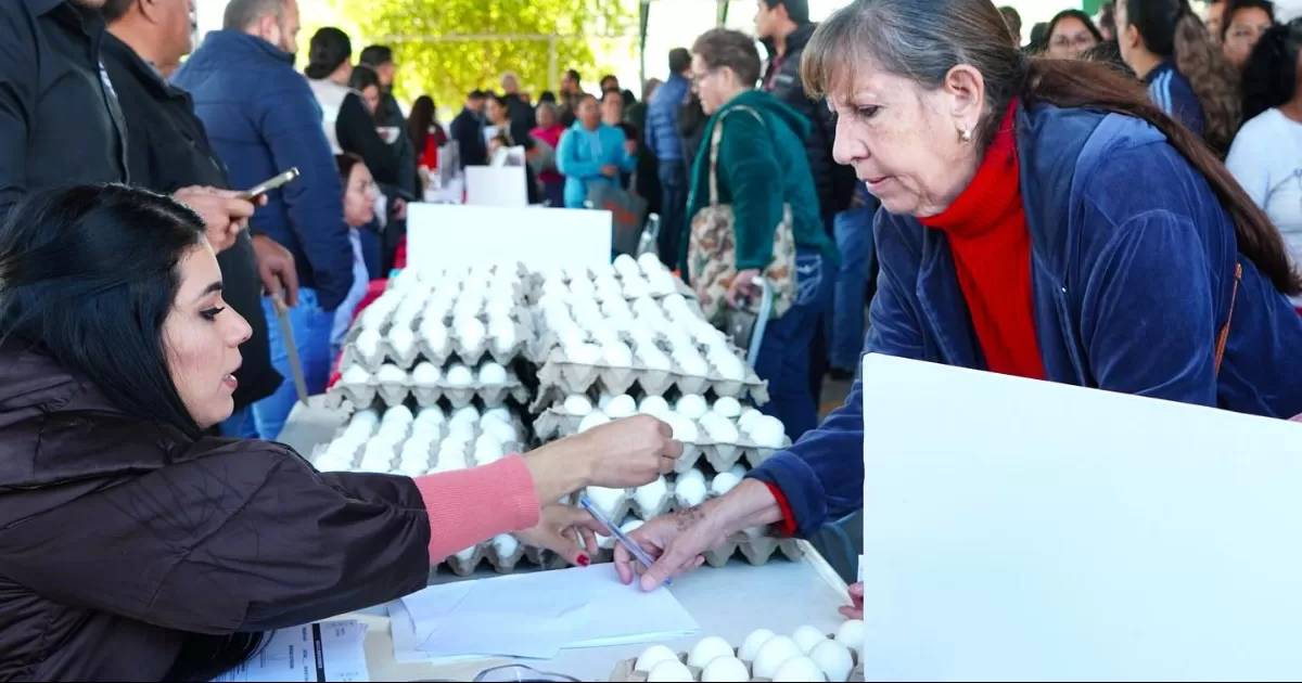 Preparan blindaje electoral de programas sociales