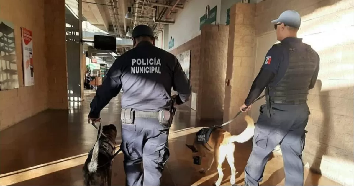 Alistan operativo de seguridad para el juego Rayados vs Vancouver