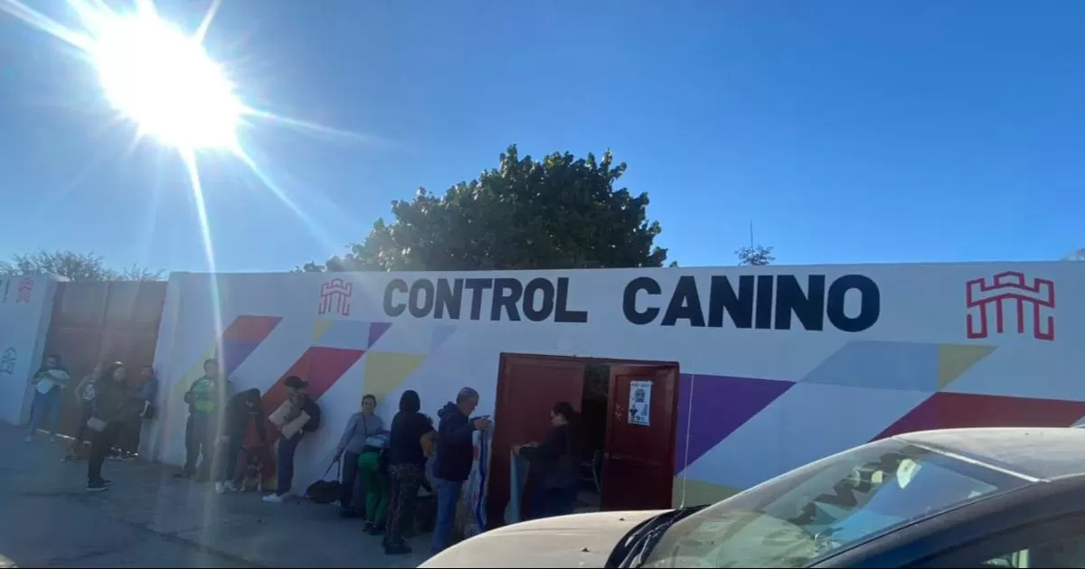 Denuncian supuesta orden de envenenamiento de perros callejeros en Torreón