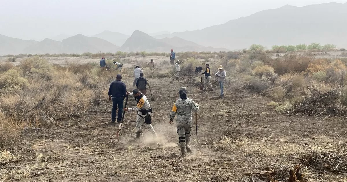 La llamada de emergencia que alertó a la coordinación de Protección Civil Región Laguna se registró cerca de las 4 de la mañana de este jueves.