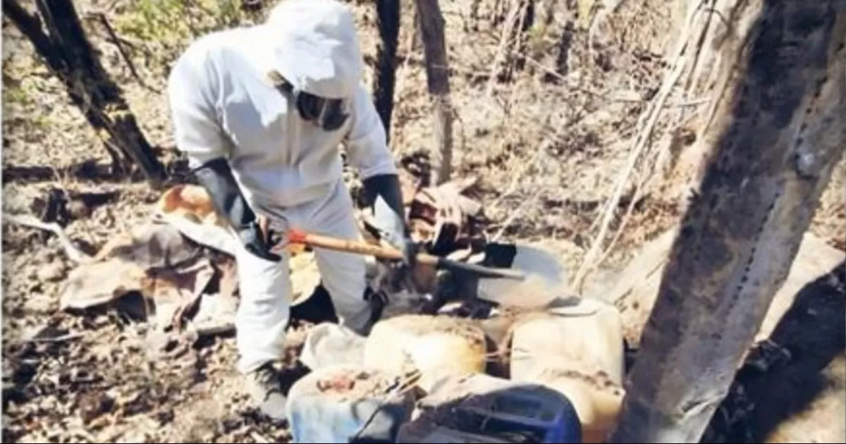 Desmantelan 12 narcolaboratorios en Sinaloa; operaban en tres municipios