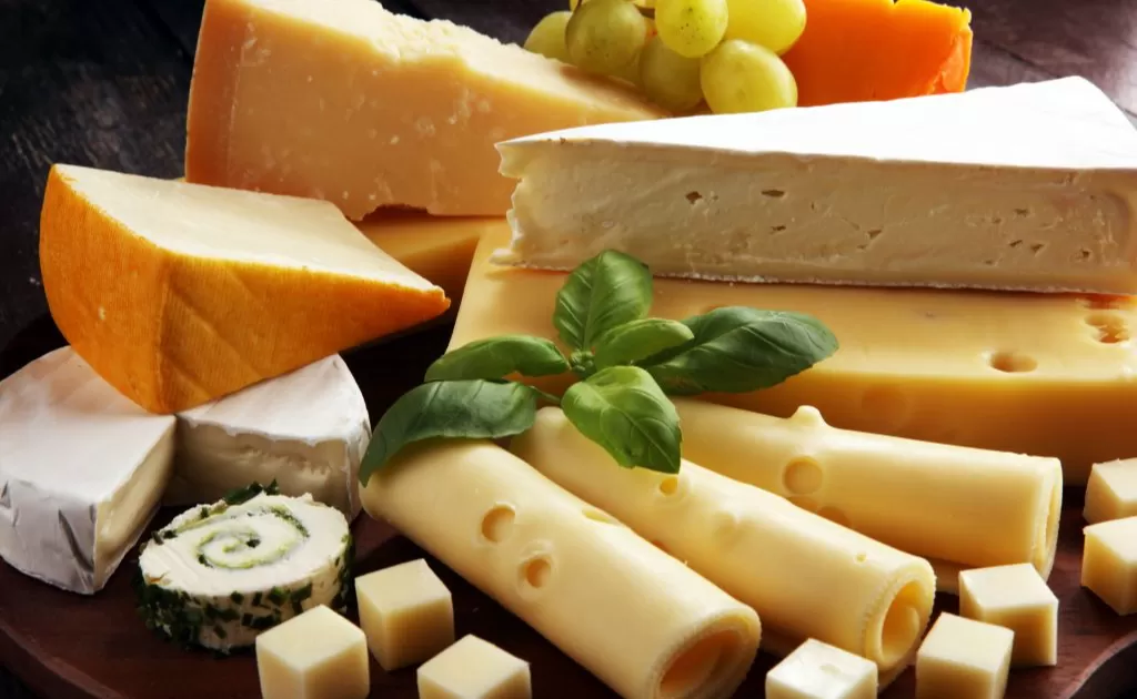 Cada 27 de marzo, los amantes del queso tienen un motivo especial para festejar: el DÃ­a Mundial del Queso.