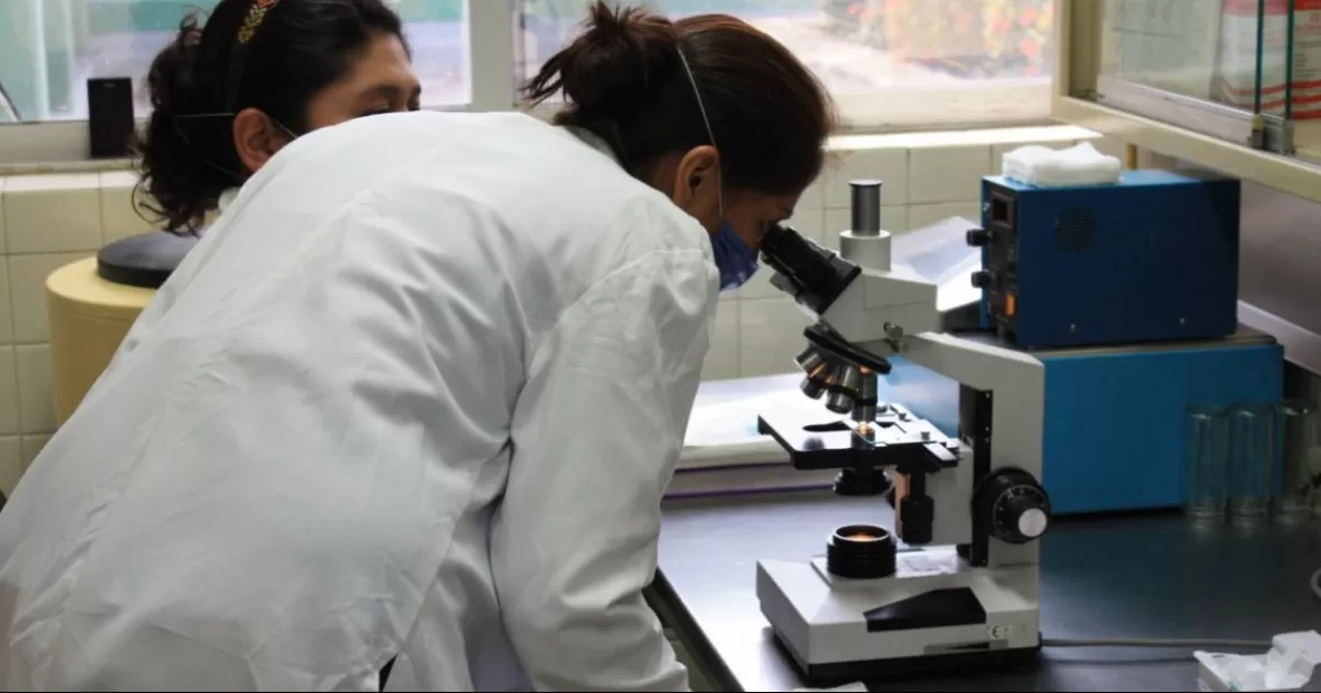 La Secretaría de Salud de Coahuila informó este miércoles que han sido detectados 16 casos de hepatitis en colonias del sector Sur de Torreón.
