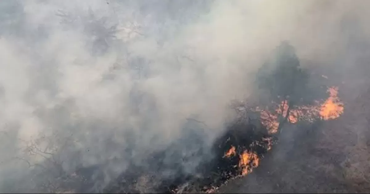 Incendio arrasa con más de 400 hectáreas en Amealco, Querétaro; desalojan a 10 familias