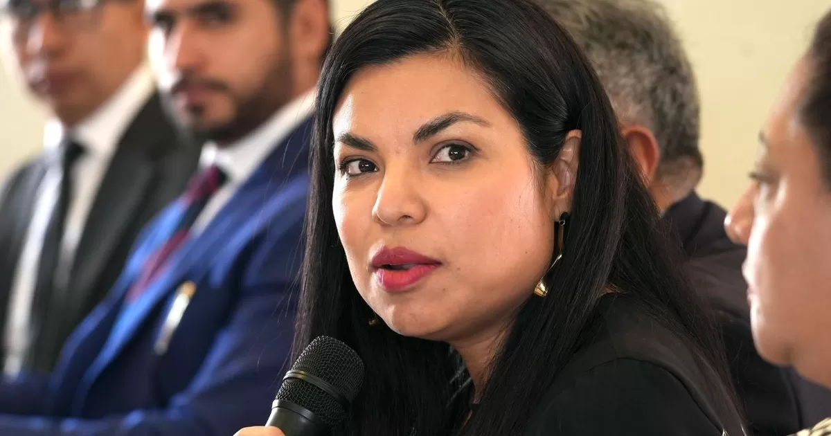 Ana MarÃ­a Ibarra aboga por â€œuna nueva visiÃ³n en la mÃ¡xima casa de la justiciaâ€
