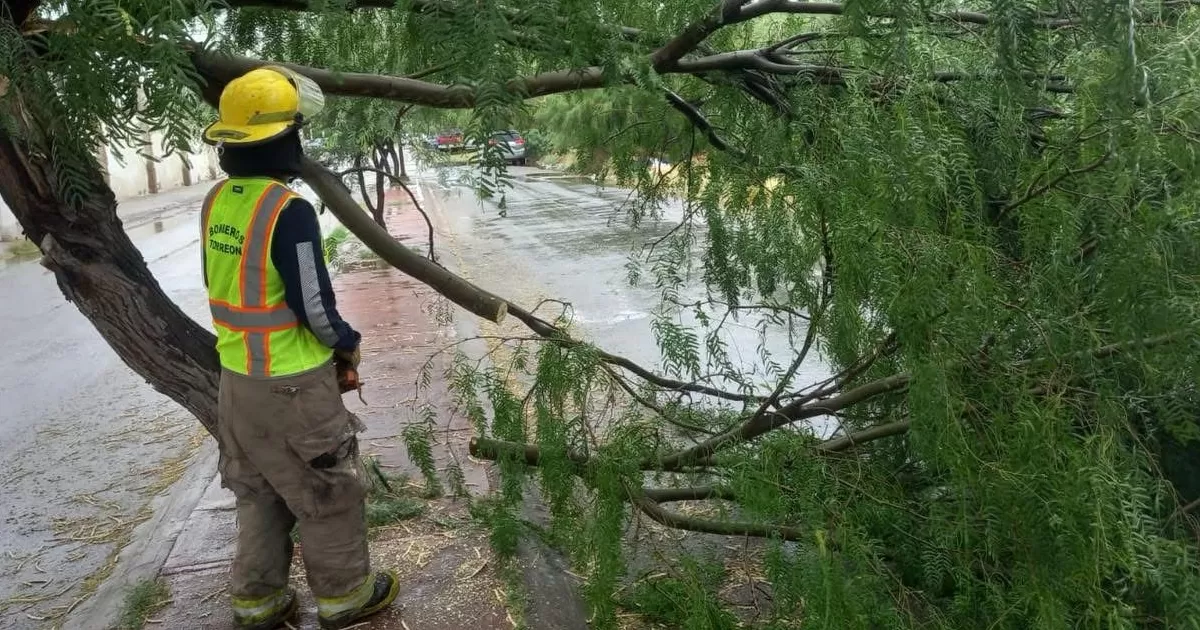 Jorge Luis Juárez Llamas, director de Protección Civil y Bomberos, informó que ante el pronóstico de la presencia de vientos de moderados a fuertes en la ciudad de Torreón para hoy y mañana, personal de las diferentes dependencias municipales se mantienen alerta para atender las situaciones que se deriven de una emergencia climática.