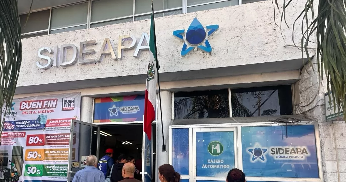 La aplicación es sencilla de descargar e instalar y está disponible tanto en la App Store para dispositivos iOS como en Google Play Store para dispositivos Android.