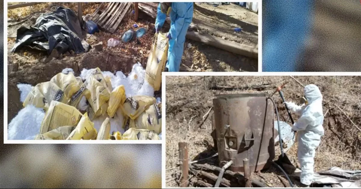 Localizan 7 áreas dedicadas para la elaboración de metanfetamina en Sinaloa
