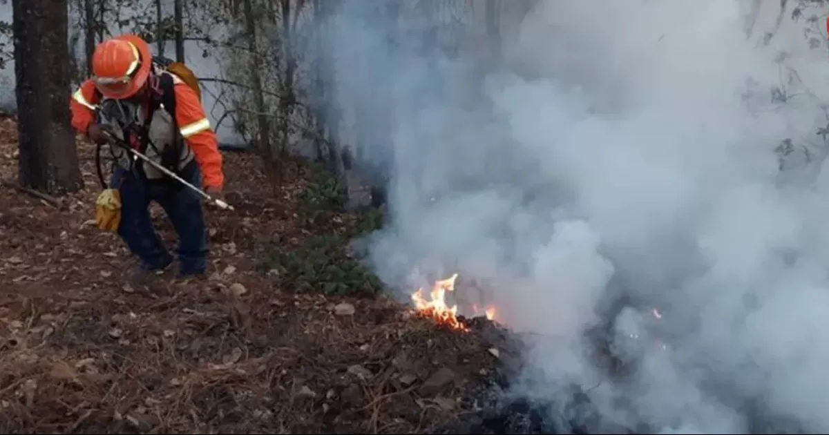 Temporada de incendios forestales: 2025 se acerca a ocupar el tercer año más crítico