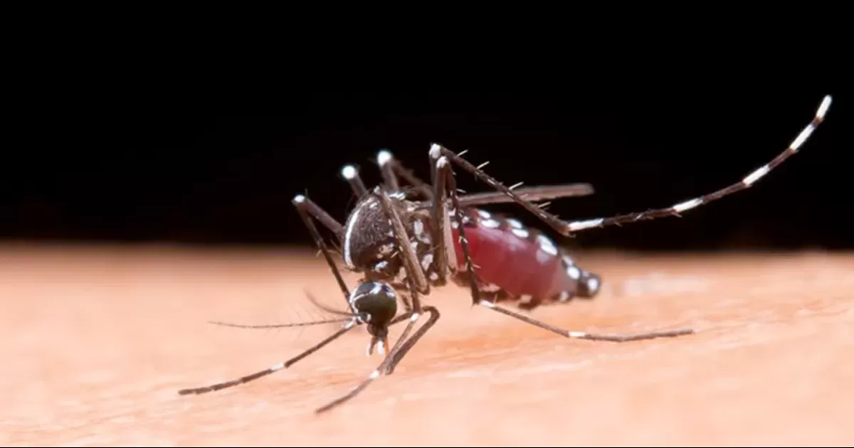 La entidad registra al momento 5.91 casos confirmados por cada cien mil habitantes; estando solo por debajo de Tabasco (6.29) y Guerrero (6.13)