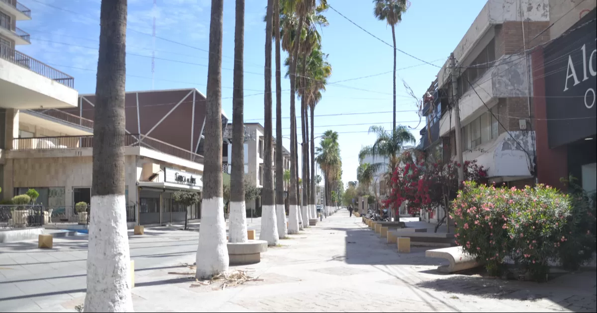 Incrementa percepción de inseguridad en Torreón