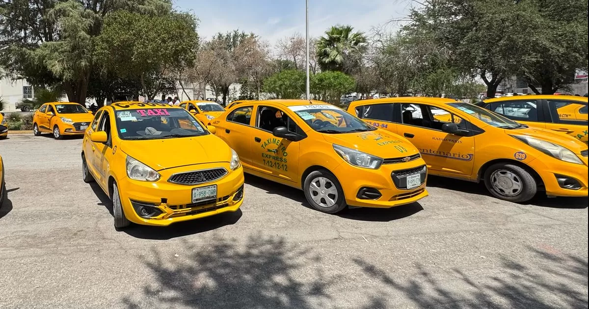 El proyecto consiste en colocar el número de concesión de cada unidad en la parte superior del vehículo, haciéndolo visible para las cámaras de seguridad de la ciudad.