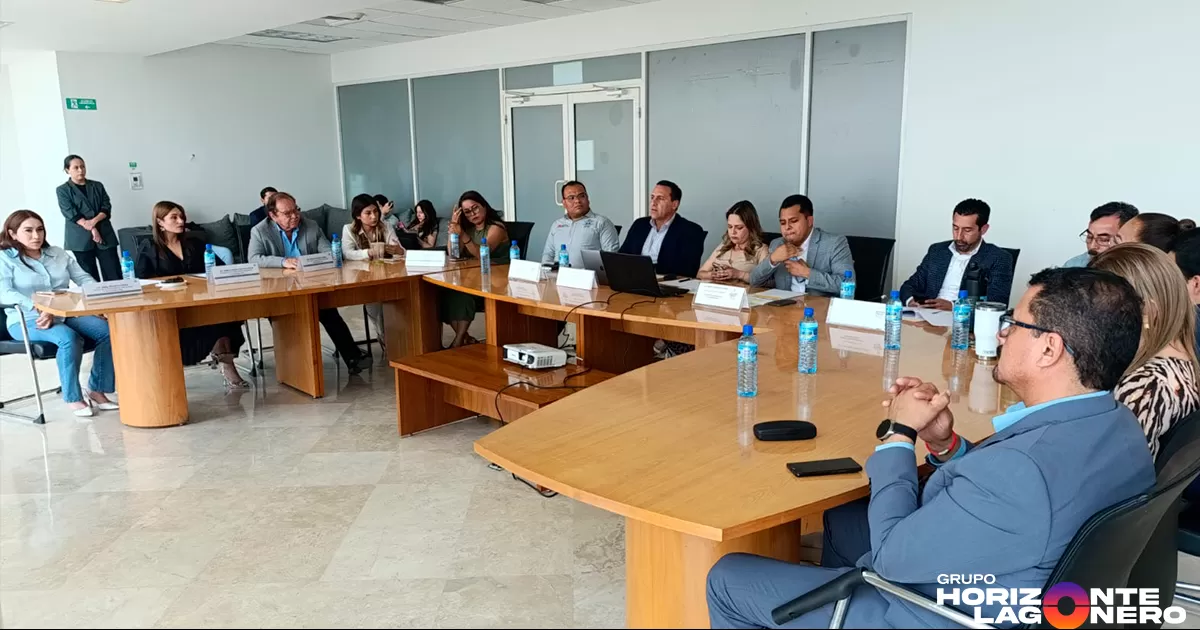 La propuesta fue presentada por el séptimo regidor, Raúl Alejandro Garza del Valle, en respuesta al creciente uso de nuevas formas de transporte individual, como las mencionadas anteriormente.