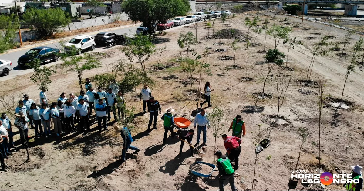 Acosta Vázquez destacó el compromiso de todos los actores involucrados en esta labor ambiental, e hizo un llamado a la ciudadanía para seguir sumándose a este tipo de acciones que contribuyen a embellecer el entorno urbano y a garantizar un futuro más saludable y sostenible para las próximas generaciones.