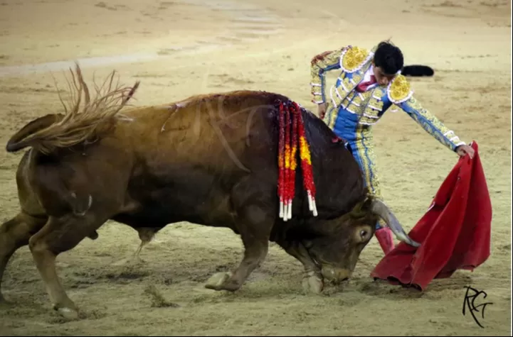 El mexicanoÂ logrÃ³ triunfar ya como novillero en Madrid y Sevilla pero tambiÃ©n lo ha pagado con sangre