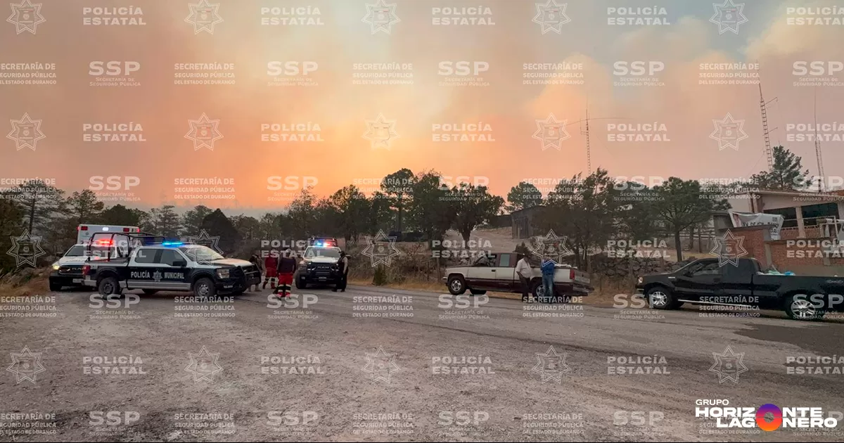 Las acciones se desarrollan en estrecha coordinación con personal de la Comisión Nacional Forestal (CONAFOR) y Protección Civil.