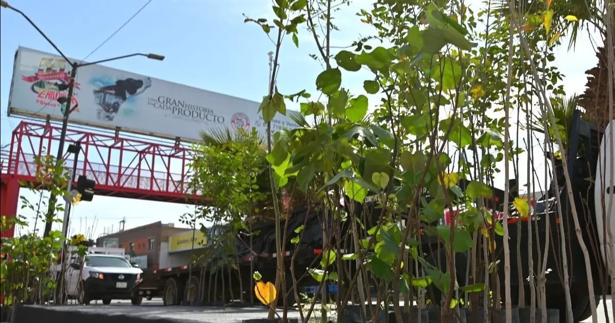 Gustavo Acosta Vázquez, titular de la dependencia, hizo un llamado a la ciudadanía para sumarse a esta estrategia. Las personas interesadas pueden acudir a las oficinas ubicadas en el Parque La Esperanza, de lunes a viernes, en un horario de 9:00 a.m. a 3:00 p.m.