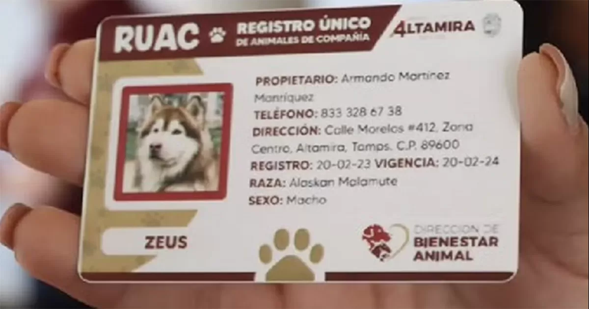 ¿Dónde y cuándo usar la CURP de tu mascota en CDMX?