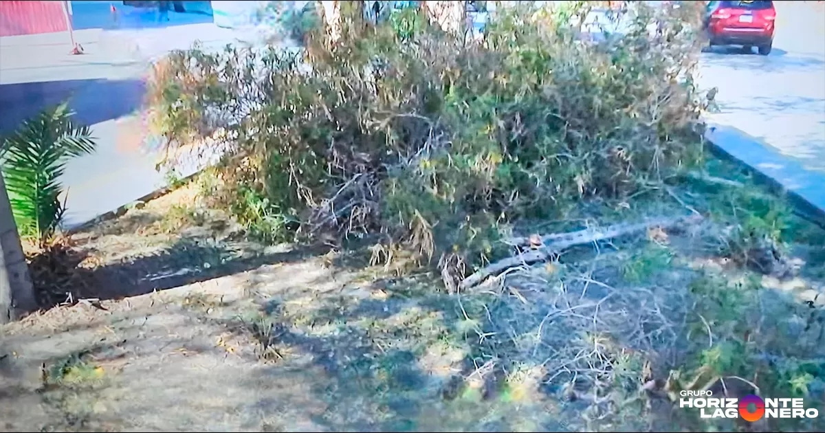 Este paso marca el inicio de los trabajos en el terreno para esta importante infraestructura que busca mejorar la vialidad en la ciudad.