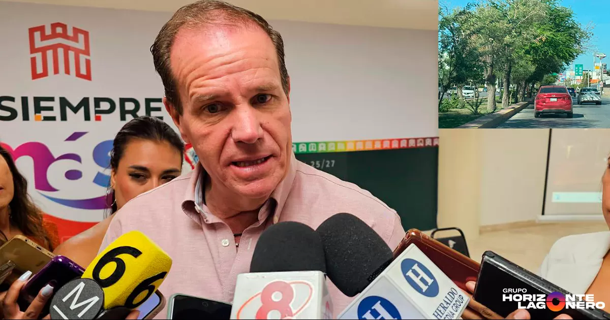 Garantizan reposición arbórea en la obra del sistema vial Abastos - Independencia