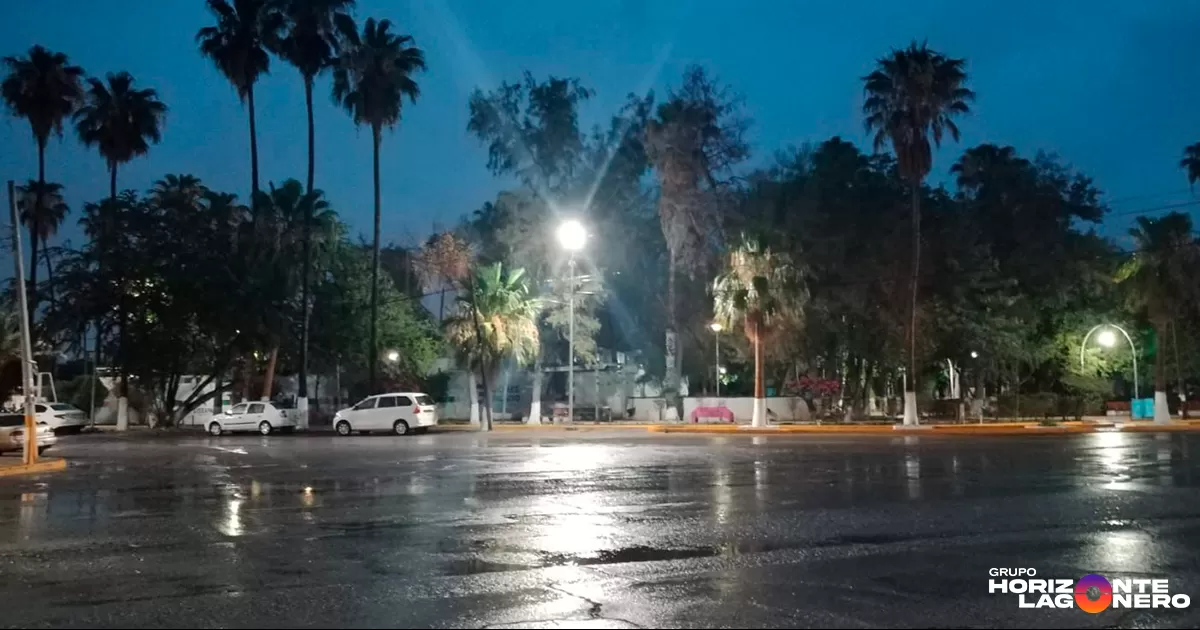 Mario Silva Solís, titular de Servicios Públicos, informó que recientemente se llevaron a cabo trabajos de reposición de luminarias en el bulevar Ejército Mexicano, Cerro de Pancho Villa, Paseo Independencia, así como en sitios emblemáticos como la Plaza de Armas, la Plaza del Amor (Torre Eiffel) y el Parque Morelos.