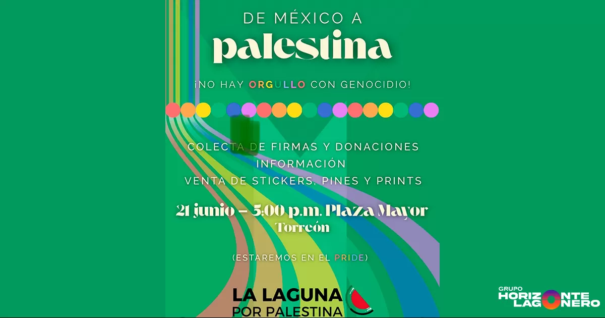 Katya, integrante del comité, enfatiza la naturaleza horizontal de la organización y la dedicación de sus miembros. La activista detalló la importancia de la recolección de firmas.