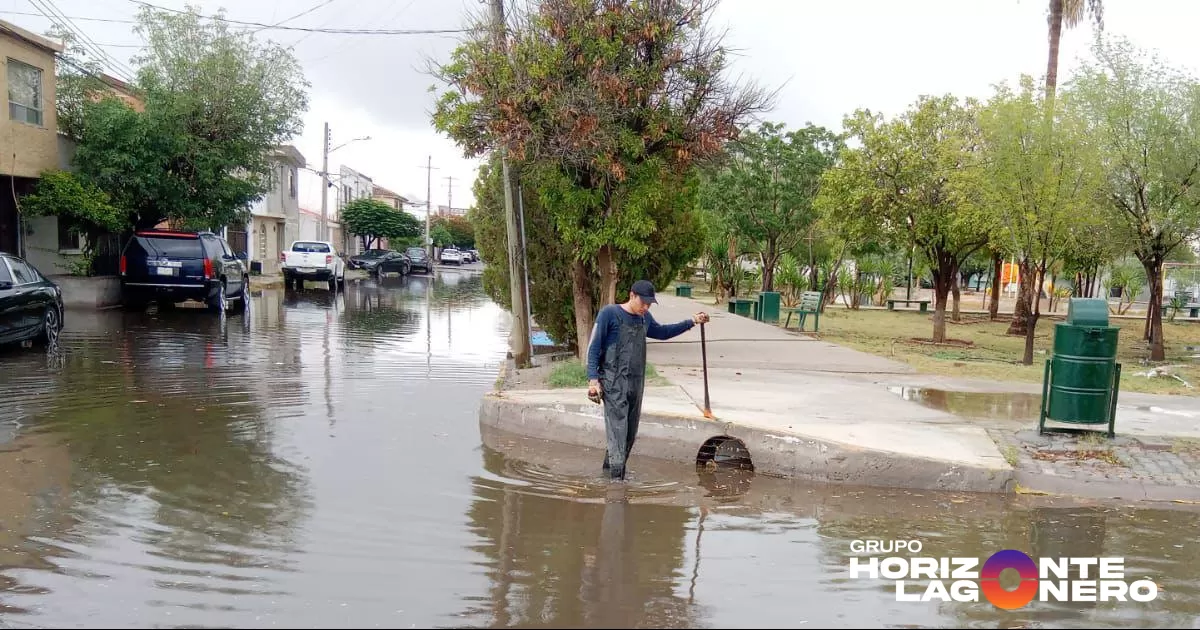 Lluvias provocan encharcamientos y caída de árboles en Torreón