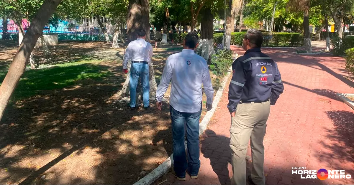 Gustavo Acosta Vázquez, titular de Ecología, informó que se llevó a cabo una inspección de campo junto con el director de Protección Civil, Santiago Rodríguez Chávez, y el director de Servicios Públicos, Mario Gerardo Silva Solís.